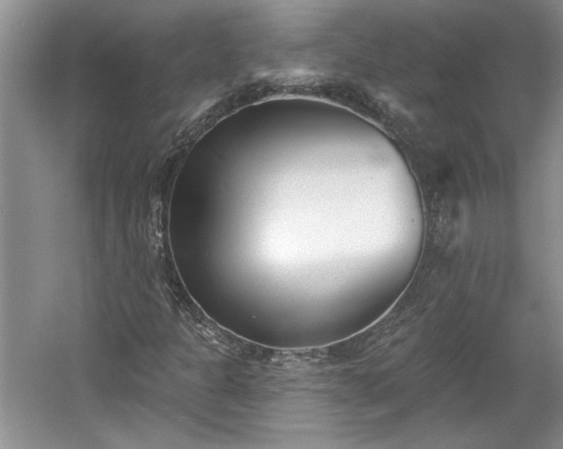 X0000061101301200511210856