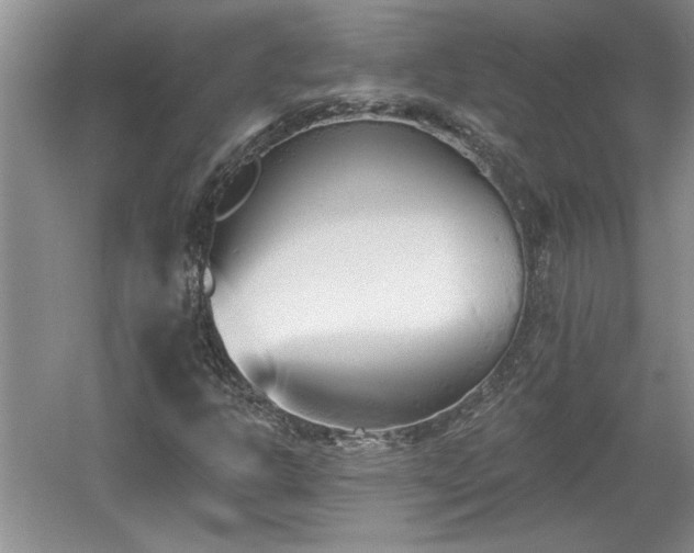 X0000061101302200511210856