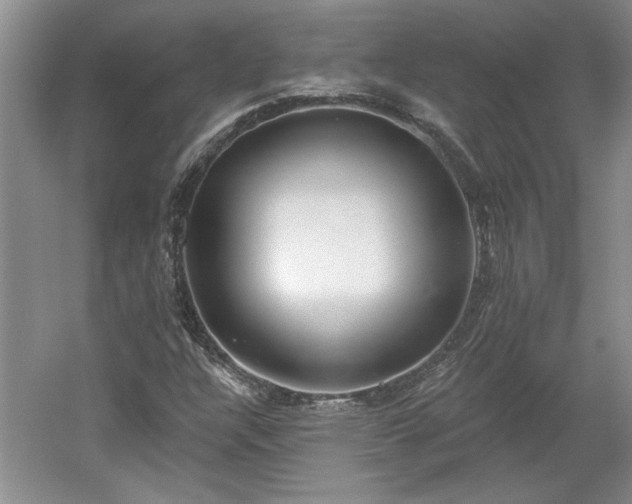 X0000061101304200511210856