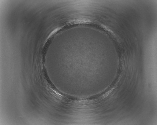 X0000061101306200511210856