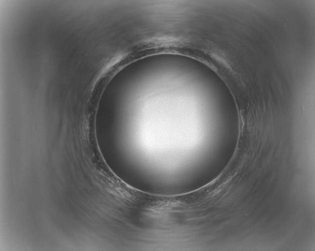 X0000061101309200511210856