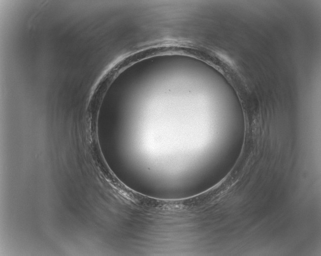 X0000061101310200511210856
