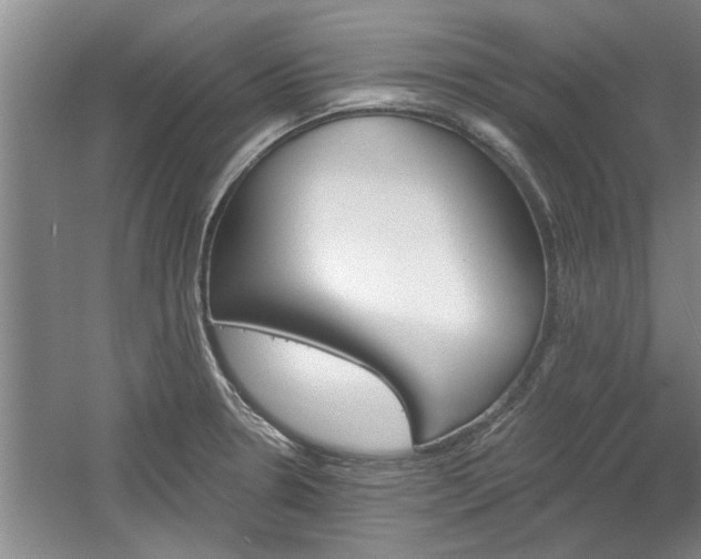 X0000061101330200511210857