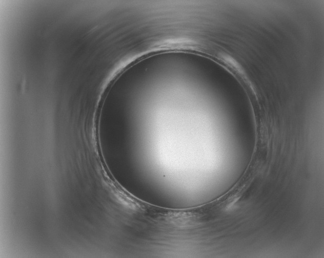 X0000061101336200511210857
