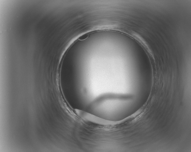X0000061101340200511210857