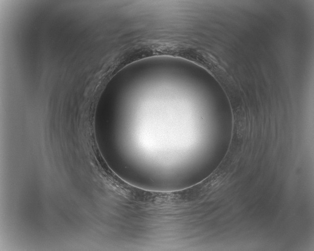 X0000061101345200511210856
