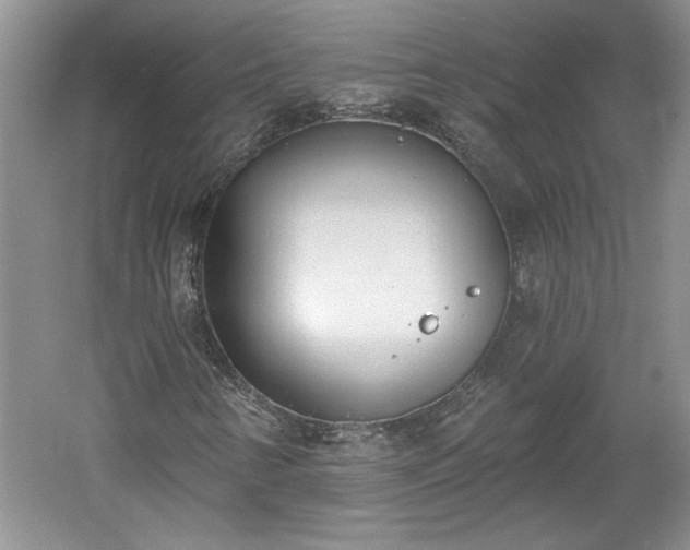 X0000061101346200511210856