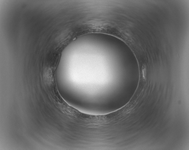 X0000061101347200511210856
