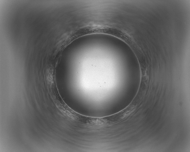 X0000061101348200511210856