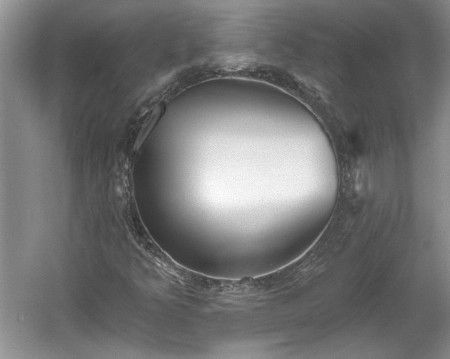 X0000061101349200511210856