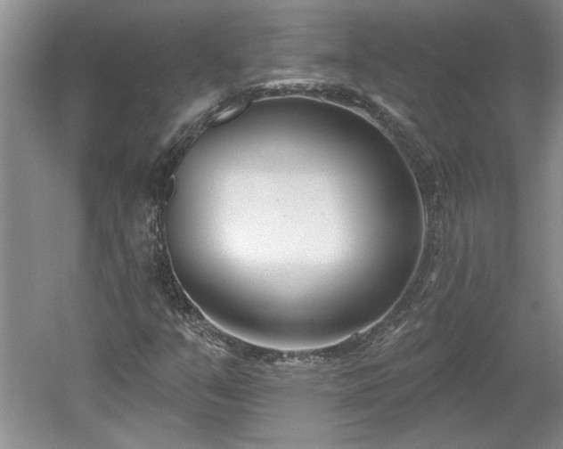 X0000061101351200511210856