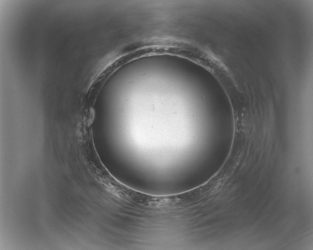 X0000061101352200511210856
