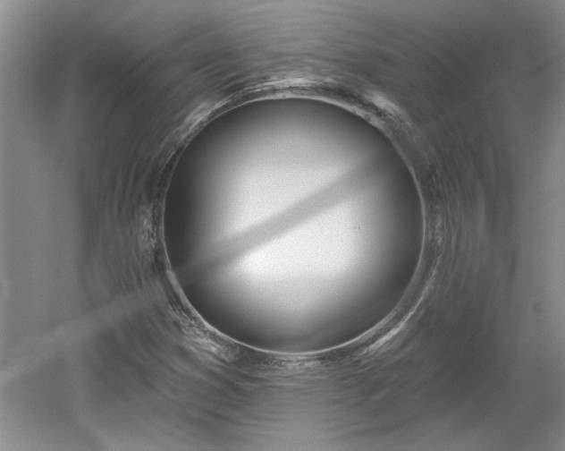 X0000061101353200511210856