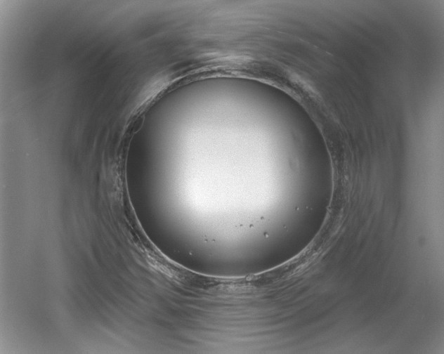 X0000061101354200511210856