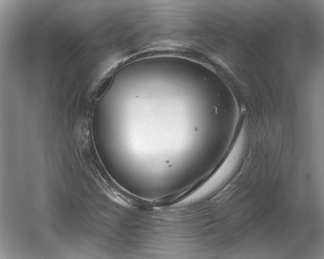 X0000061101355200511210856