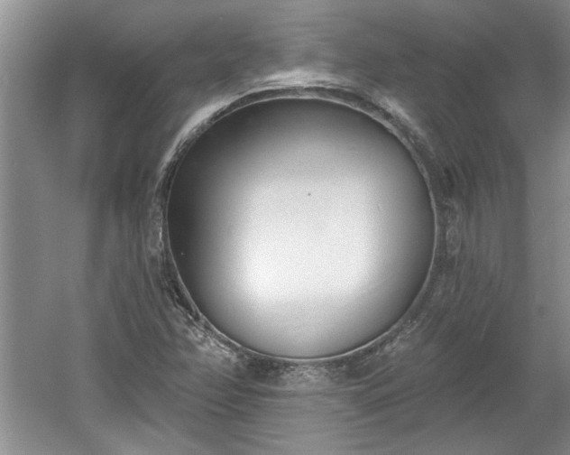 X0000061101358200511210856