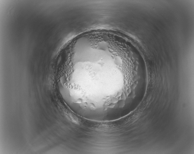 X0000061101359200511210856