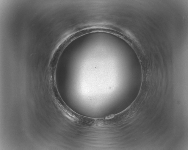 X0000061101360200511210856