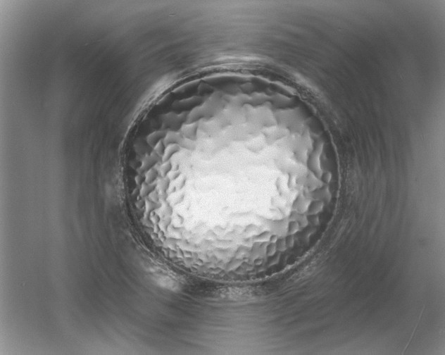 X0000061101362200511210856