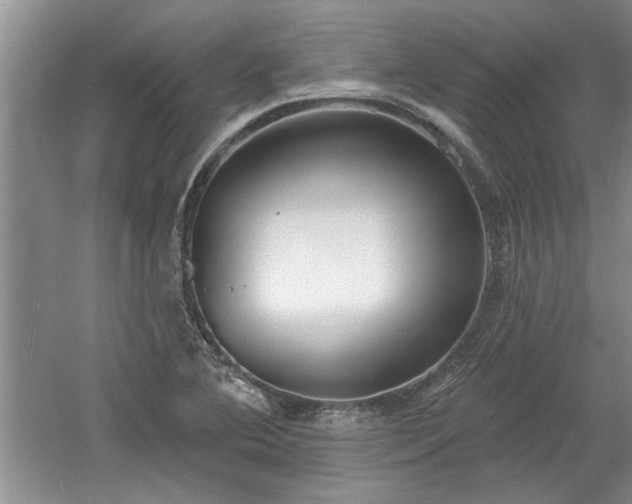 X0000061101364200511210856