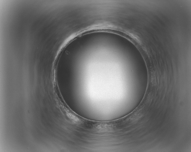 X0000061101366200511210856