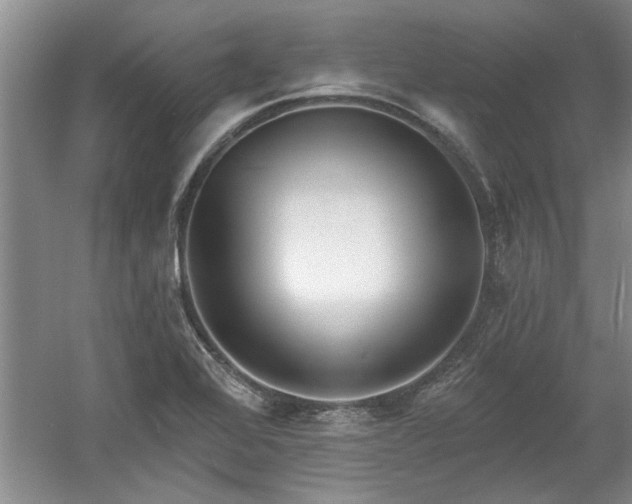 X0000061101368200511210856