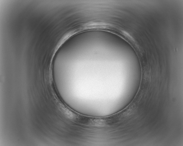 X0000061101370200511210856