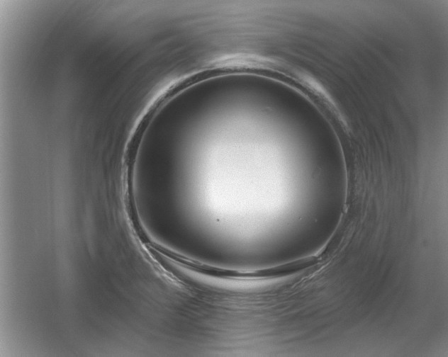 X0000061101376200511210856