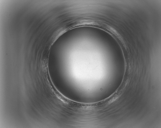 X0000061101377200511210856