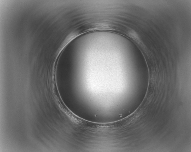 X0000061101378200511210856