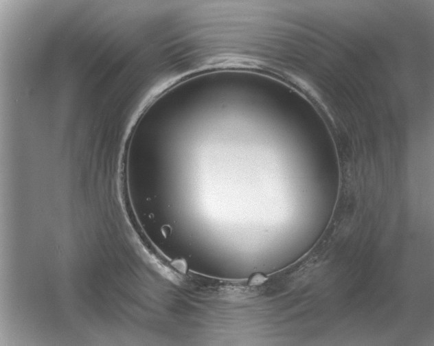 X0000061101379200511210856