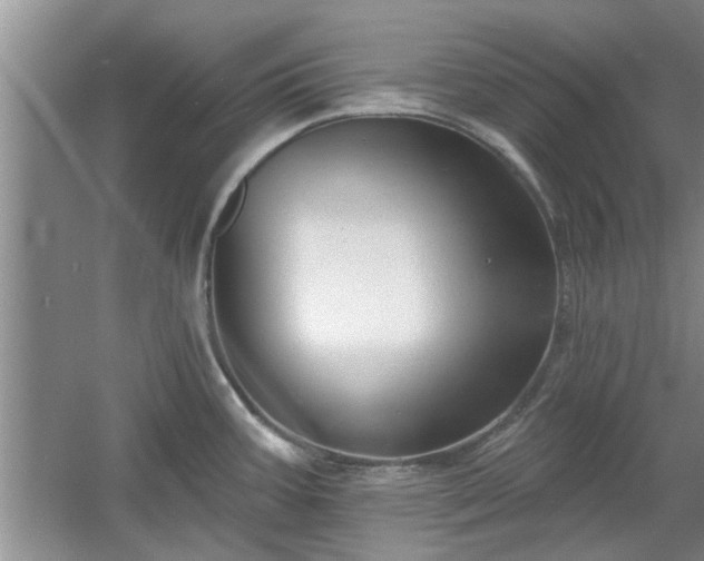 X0000061101387200511210855