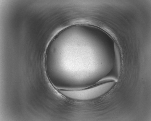 X0000061101392200511210855