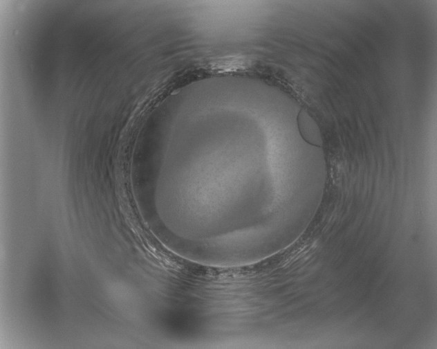 X0000061101393200511210854