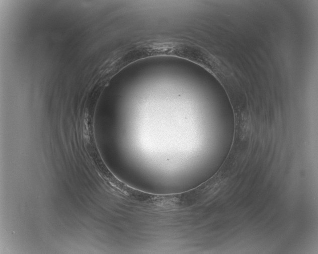 X0000061101394200511210855