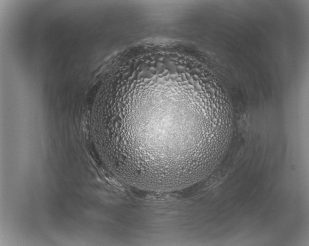 X0000061101397200511210855