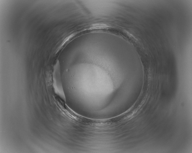 X0000061101401200511210855