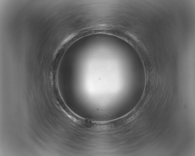 X0000061101402200511210855