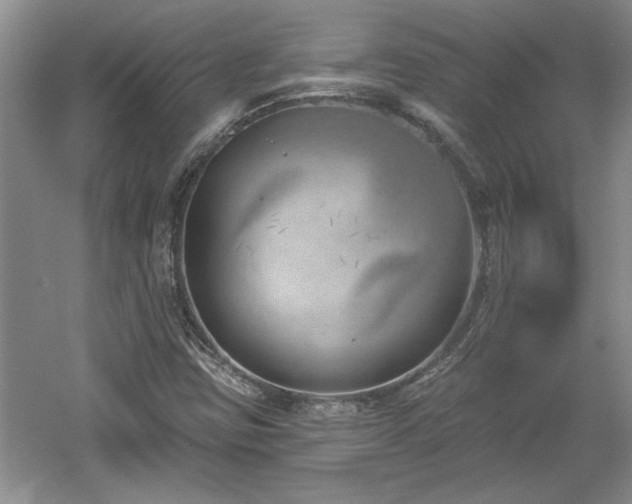 X0000061101403200511210855