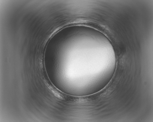 X0000061101409200511210855
