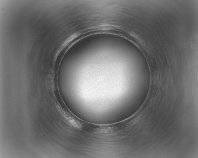 X0000061101410200511210855
