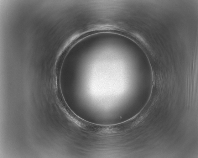 X0000061101414200511210855
