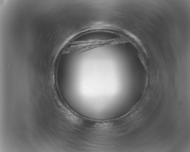 X0000061101415200511210855