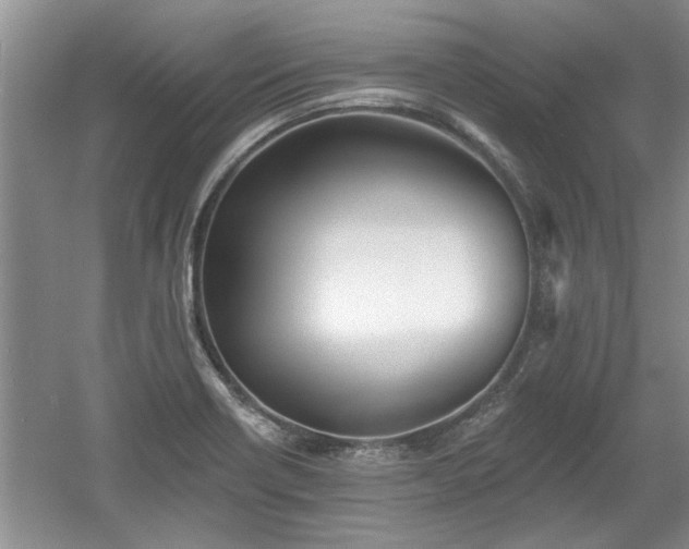 X0000061101418200511210855