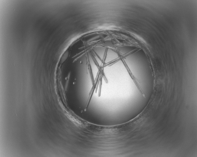 X0000061101423200511210855