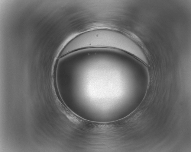 X0000061101427200511210855