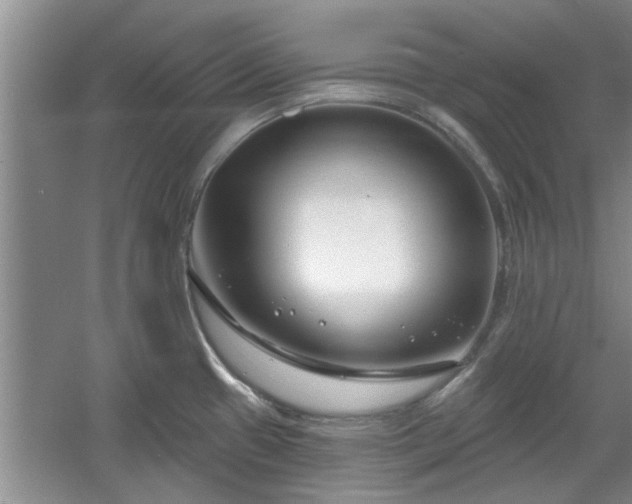 X0000061101433200511210855