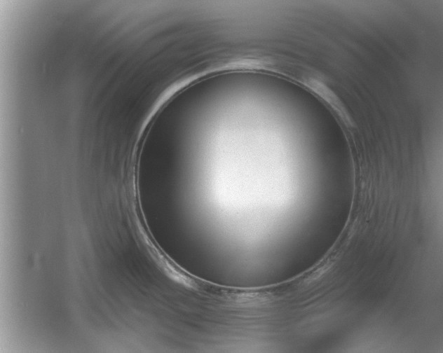 X0000061101436200511210855