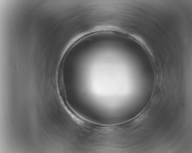 X0000061101438200511210855