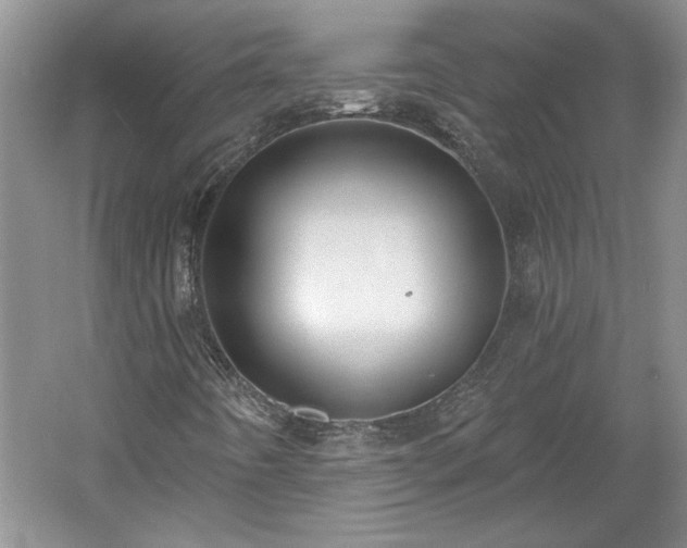 X0000061101442200511210854